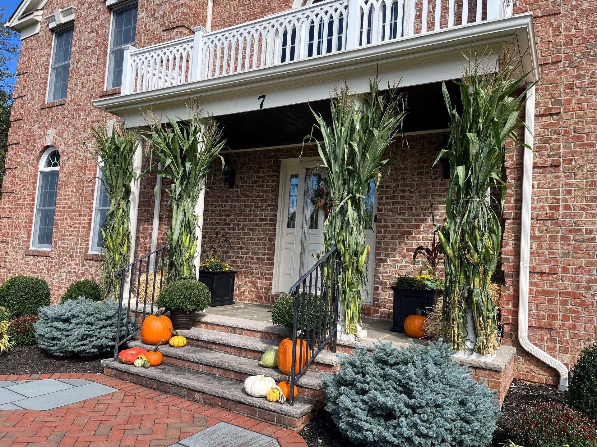 Fall Cleanup Services in Randolph, NJ: What the Work Covers and When to Book It