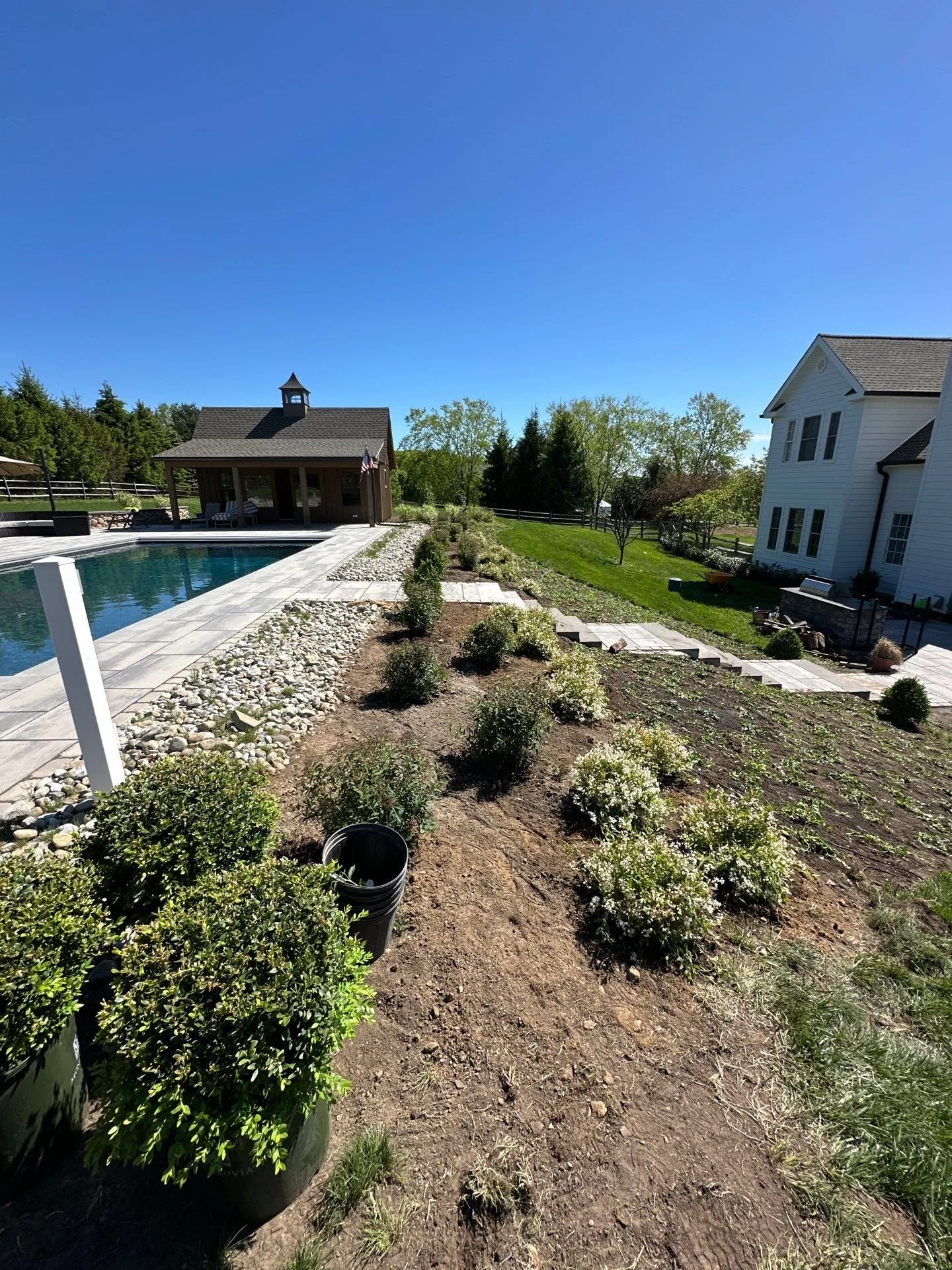 Plantings and pool patio by BTS Landscaping