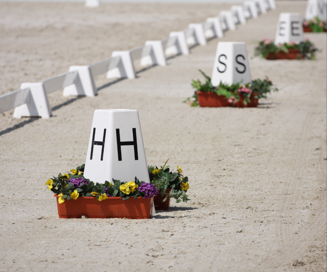 Rows of white buckets with black letters, forming the phrase 'HSS EEE' on gravel, with flower pots at the base of each bucket, at an outdoor event or competition venue.