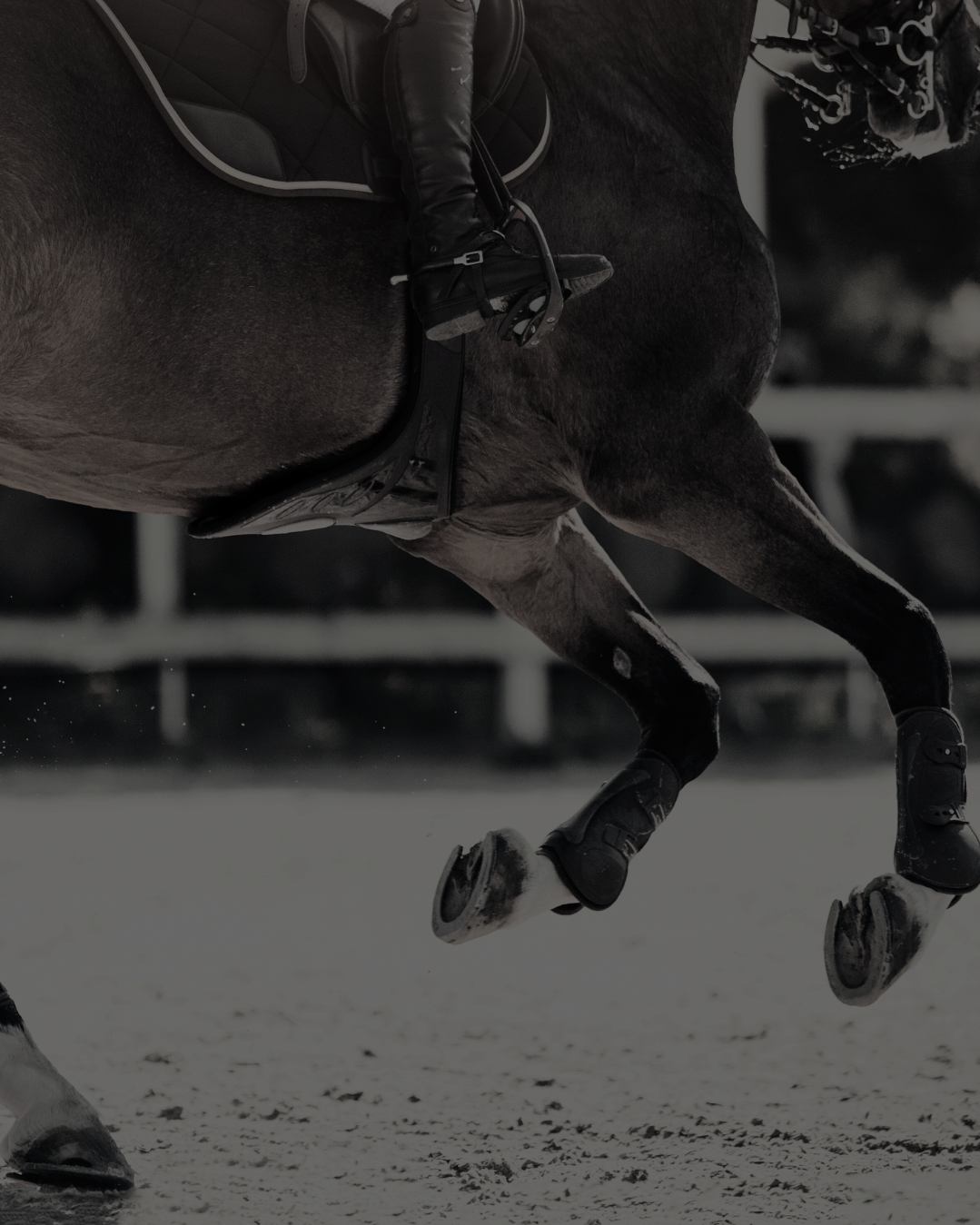 A close-up of a horse's legs and body during a race, with rider on its back, hooves in motion on a snow-covered track.