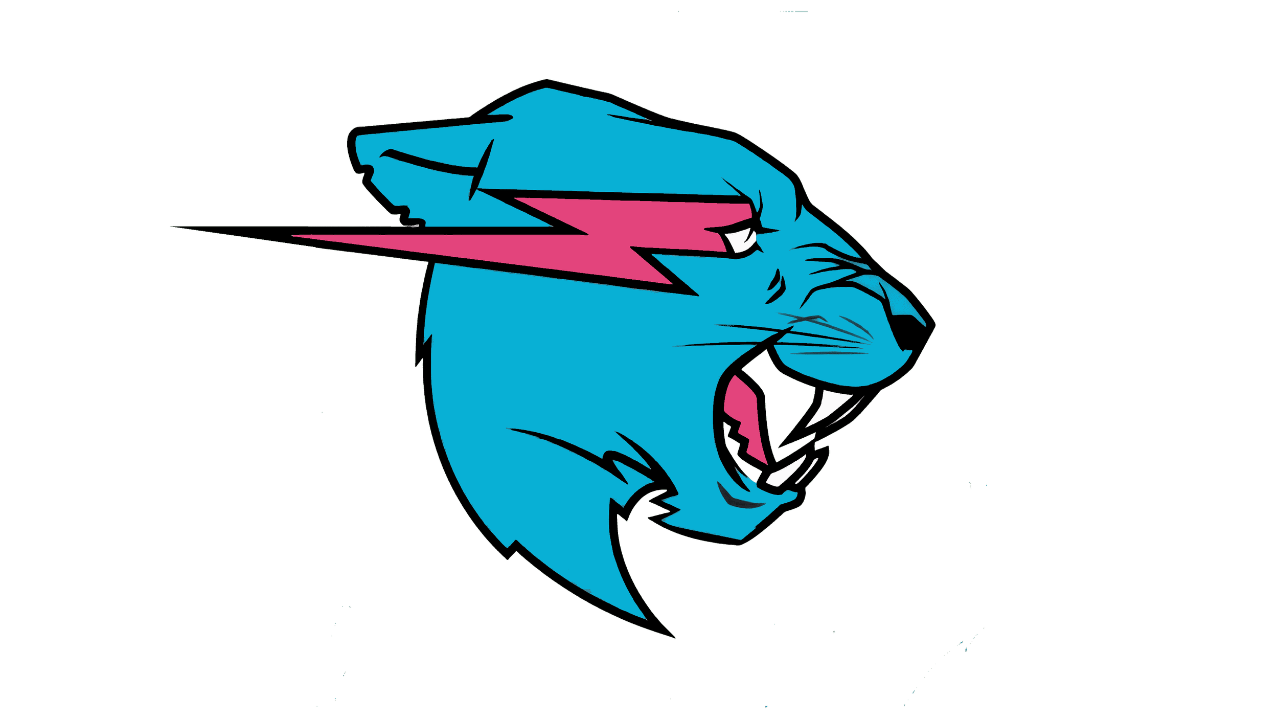 Mr. Beast