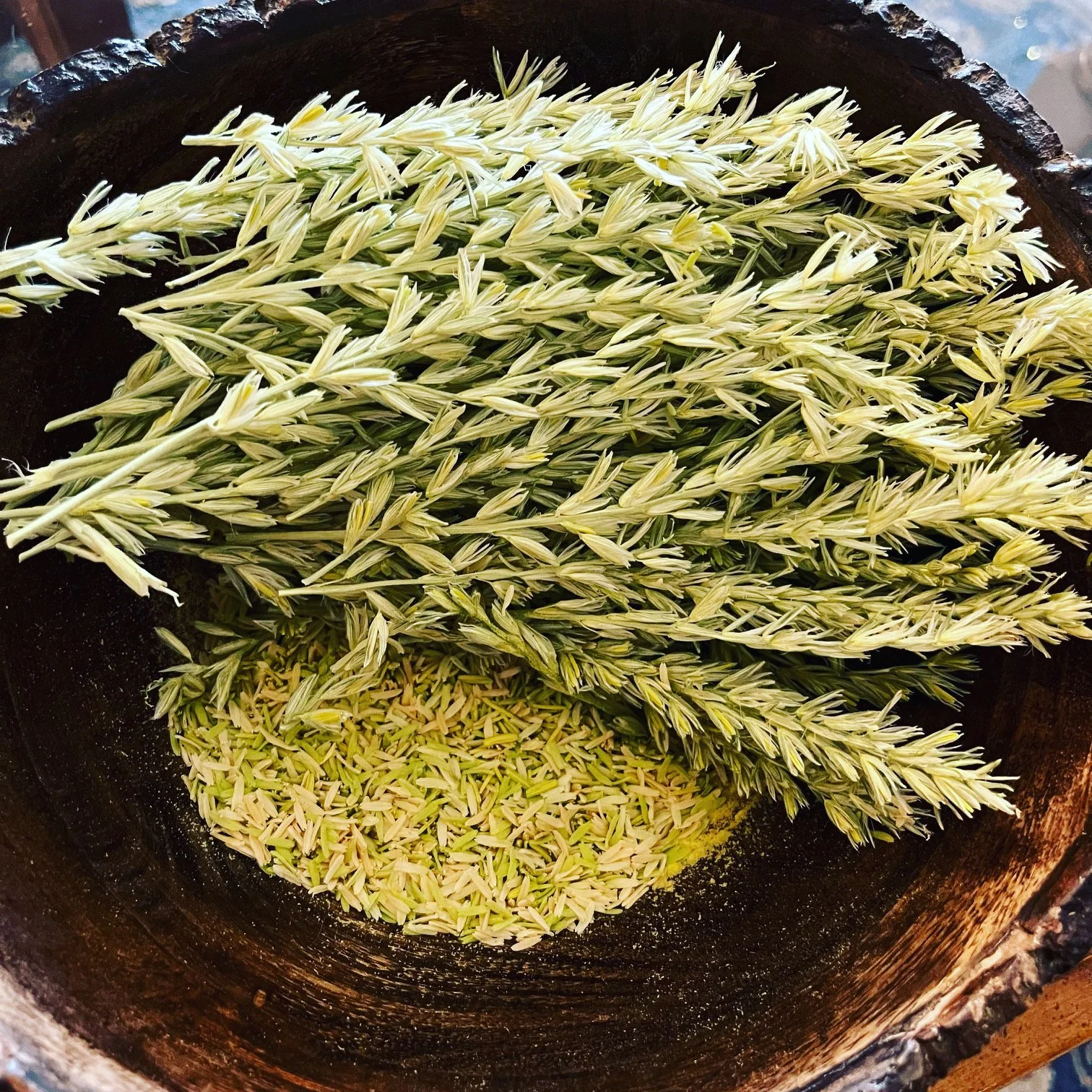 Community Chat: Food/Gardening Resources
