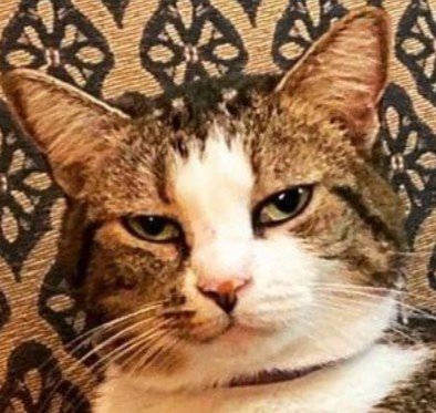 Fooseball is the Debil and Christmas decor is upon us