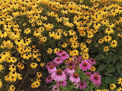 flowers.jpg