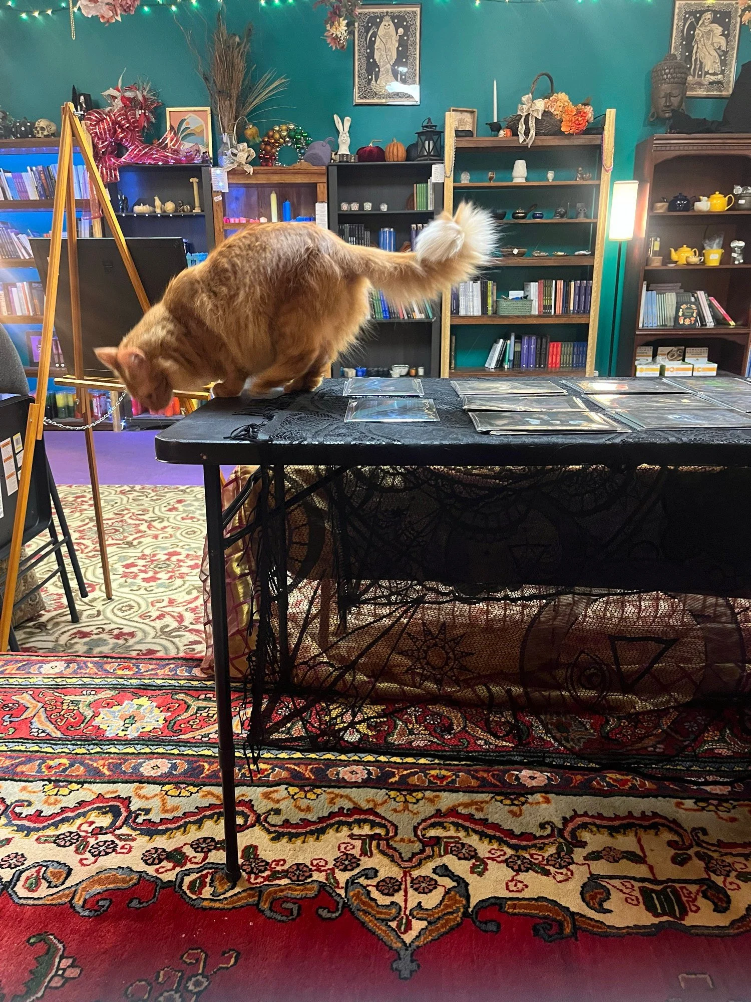 Hades on a table of Caylee Cooper's Art
