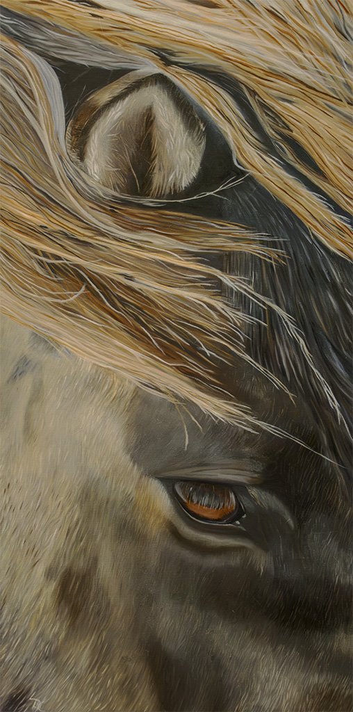  Echo's in Ice (12x24)
 Artist Studio 
 Thamesford, ON

  For Sale  