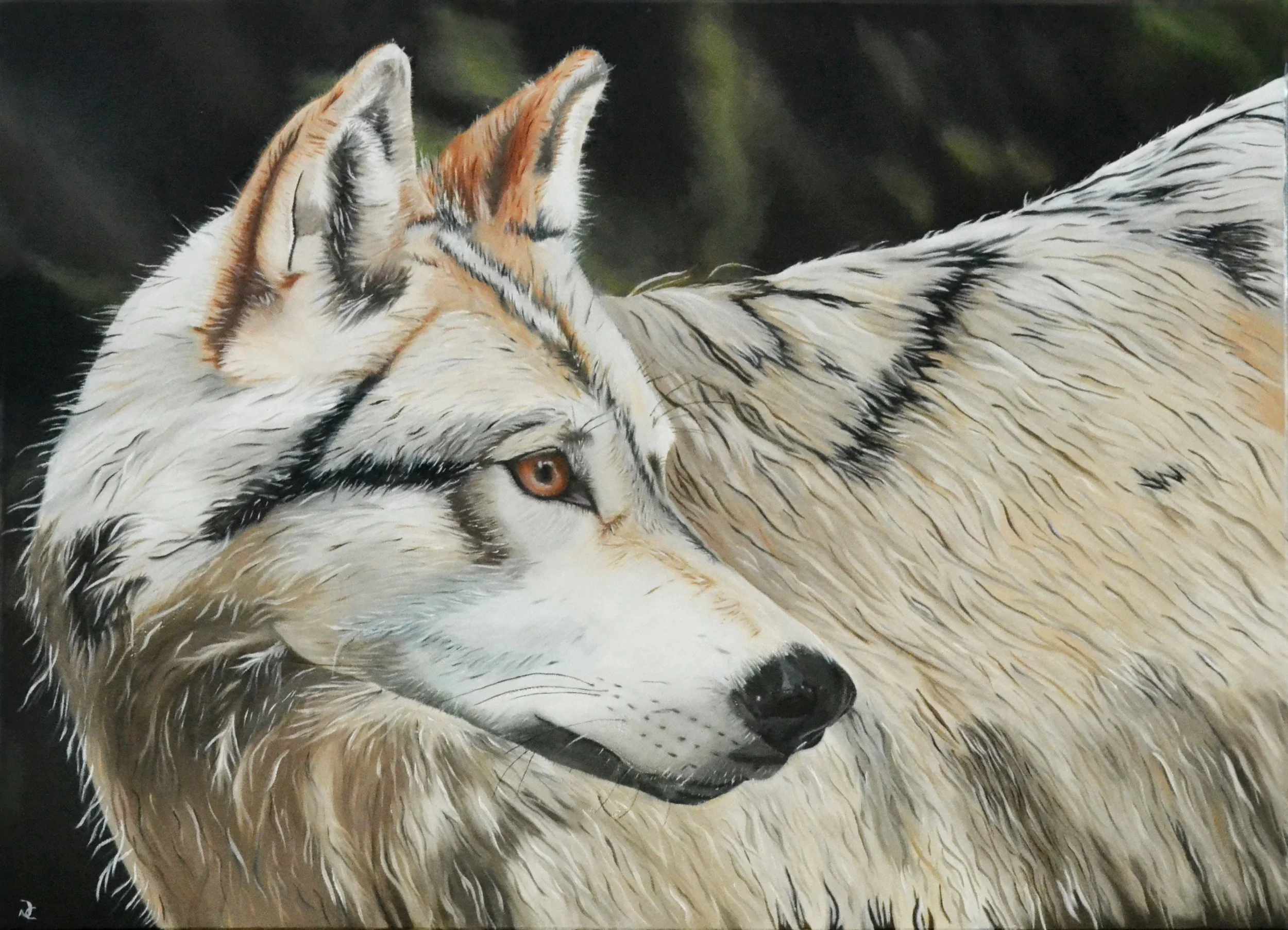  The Forest Knows Her Name (18x24)
 Artist Studio 
 Thamesford, ON

  For Sale  