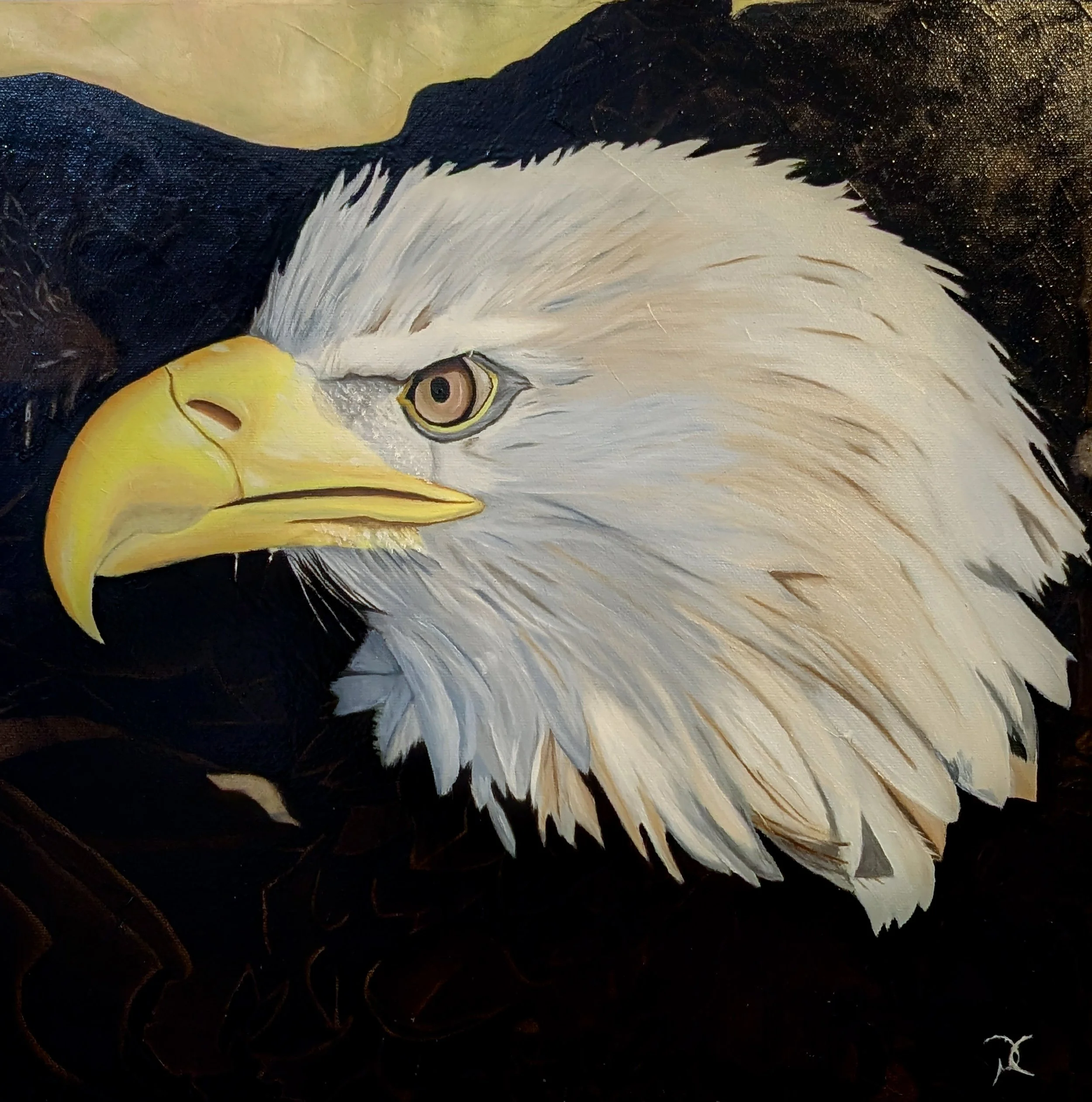  Predator's Gaze (14x14)
 Artist Studio
 Thamesford, ON

  For Sale  