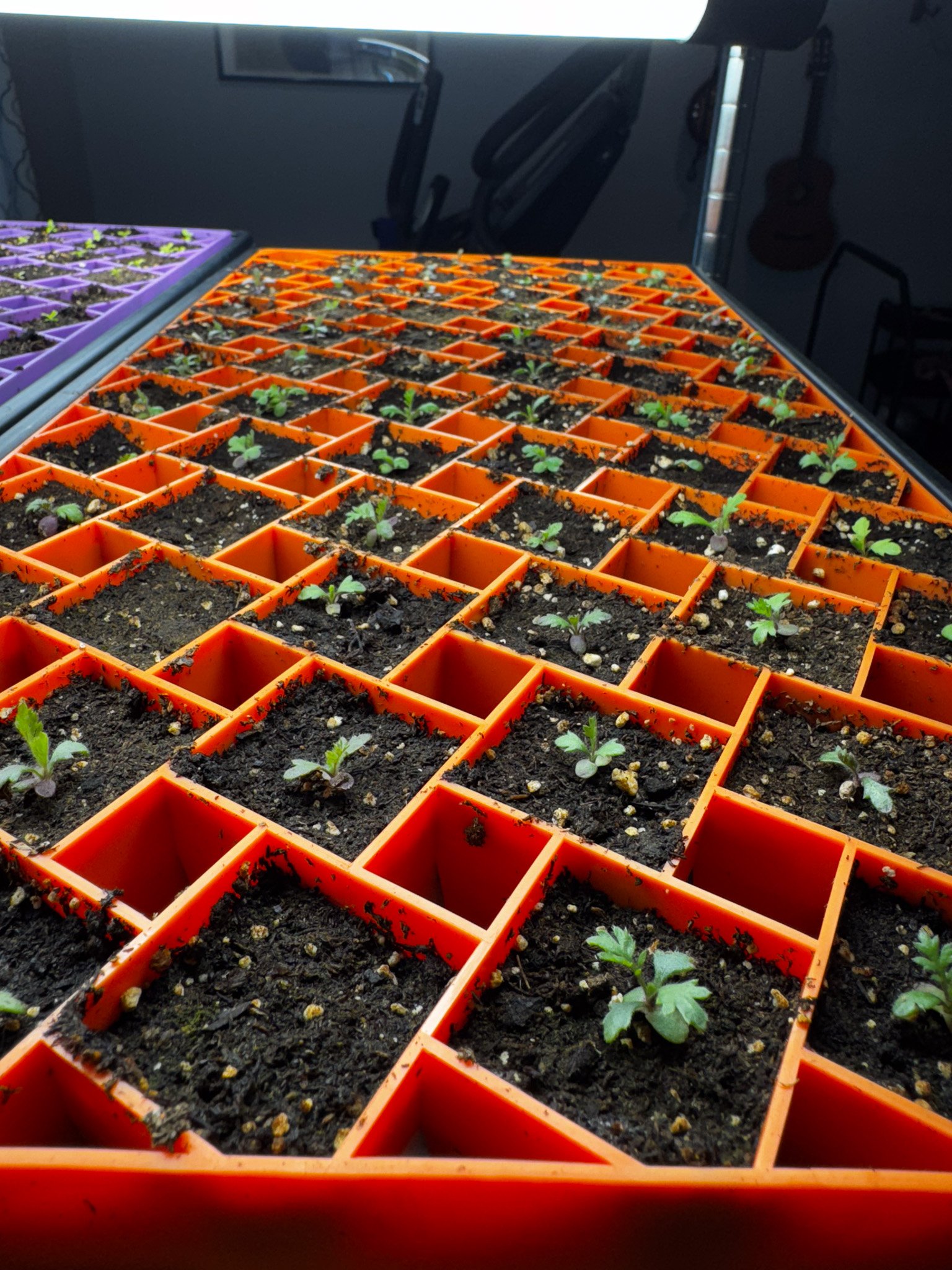 From Snow Prep to Spring Planning