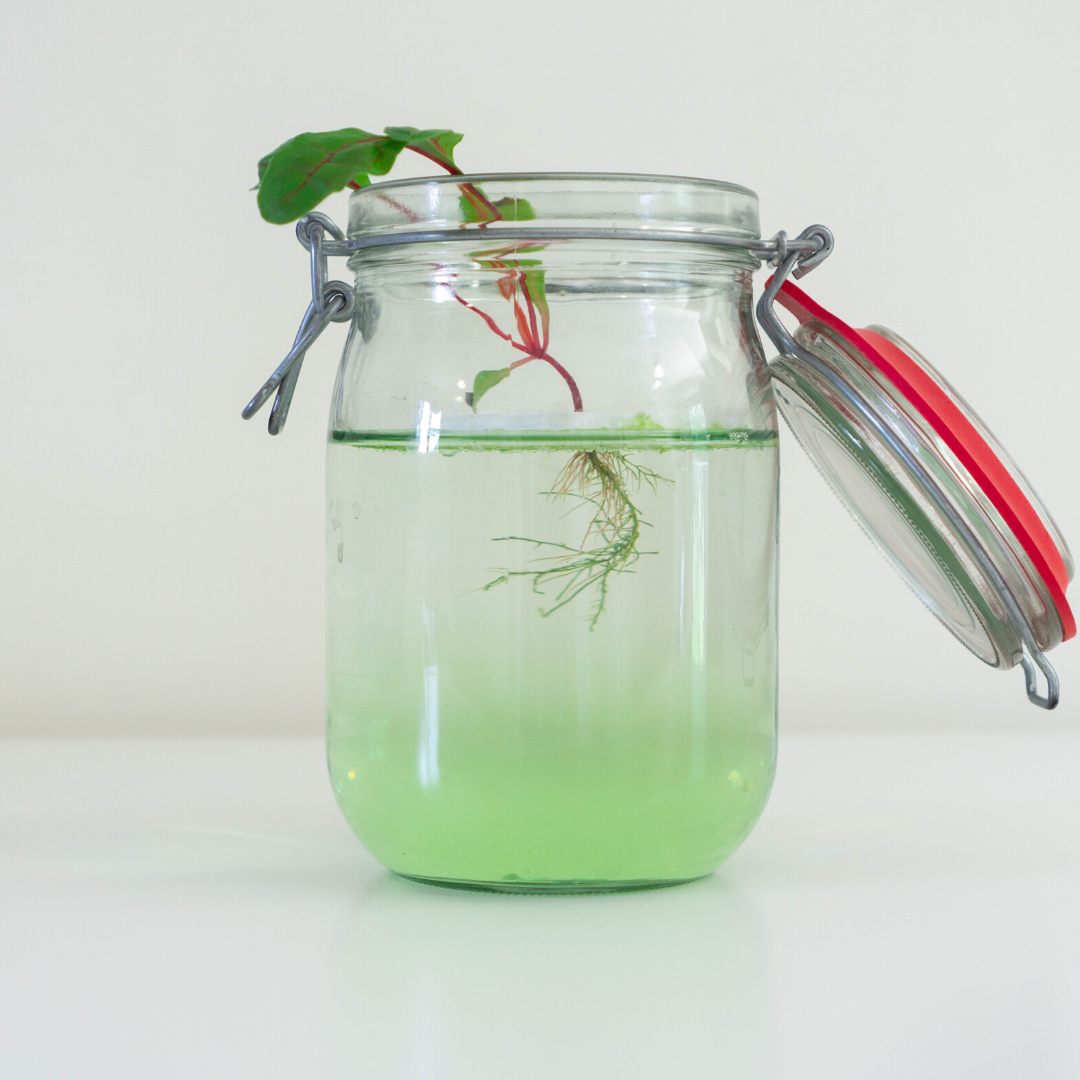 Copy of Copy of Copy of Copy of registration (1).png