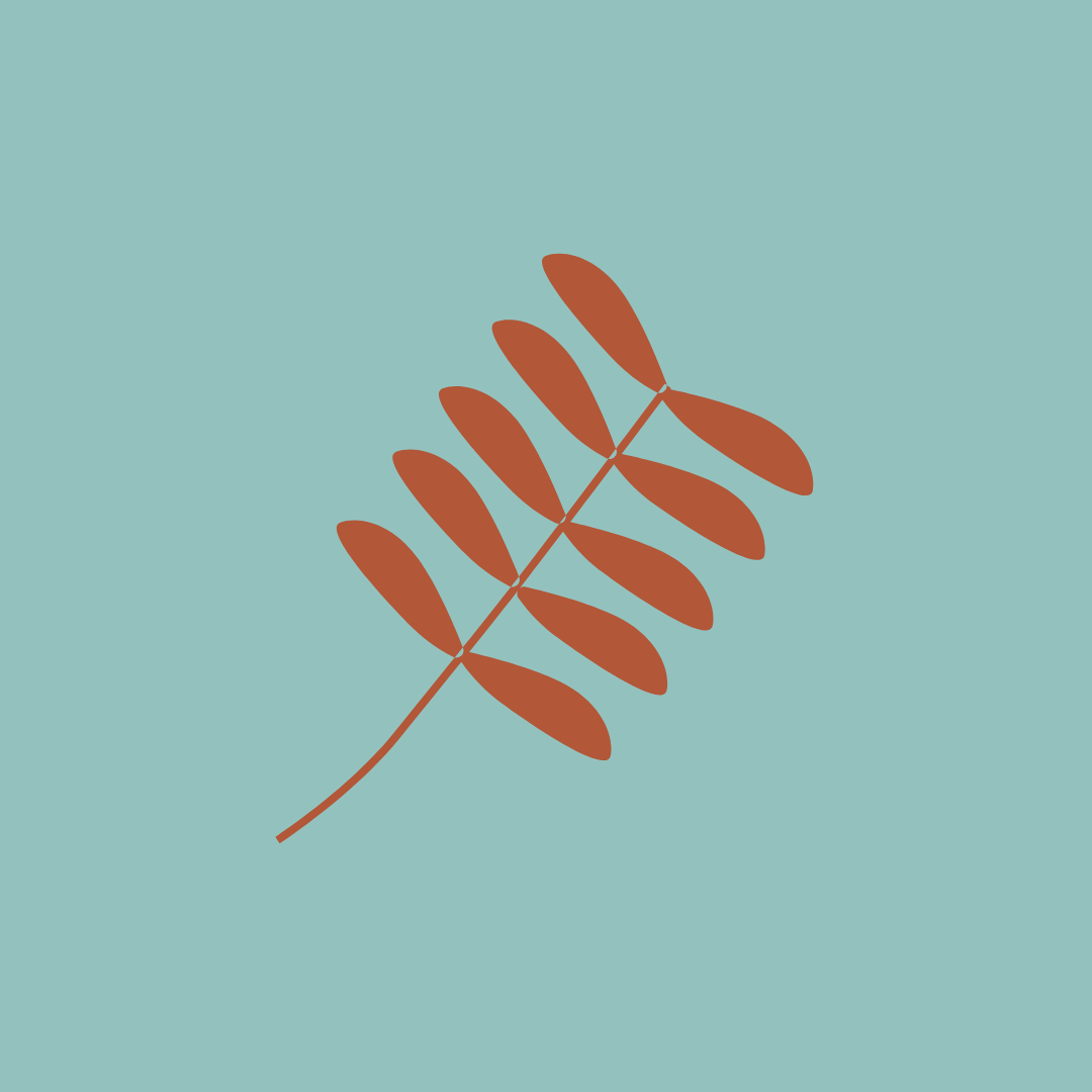 5.png