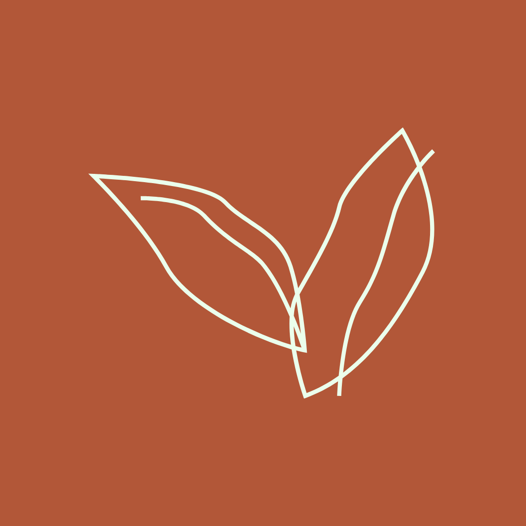 7.png