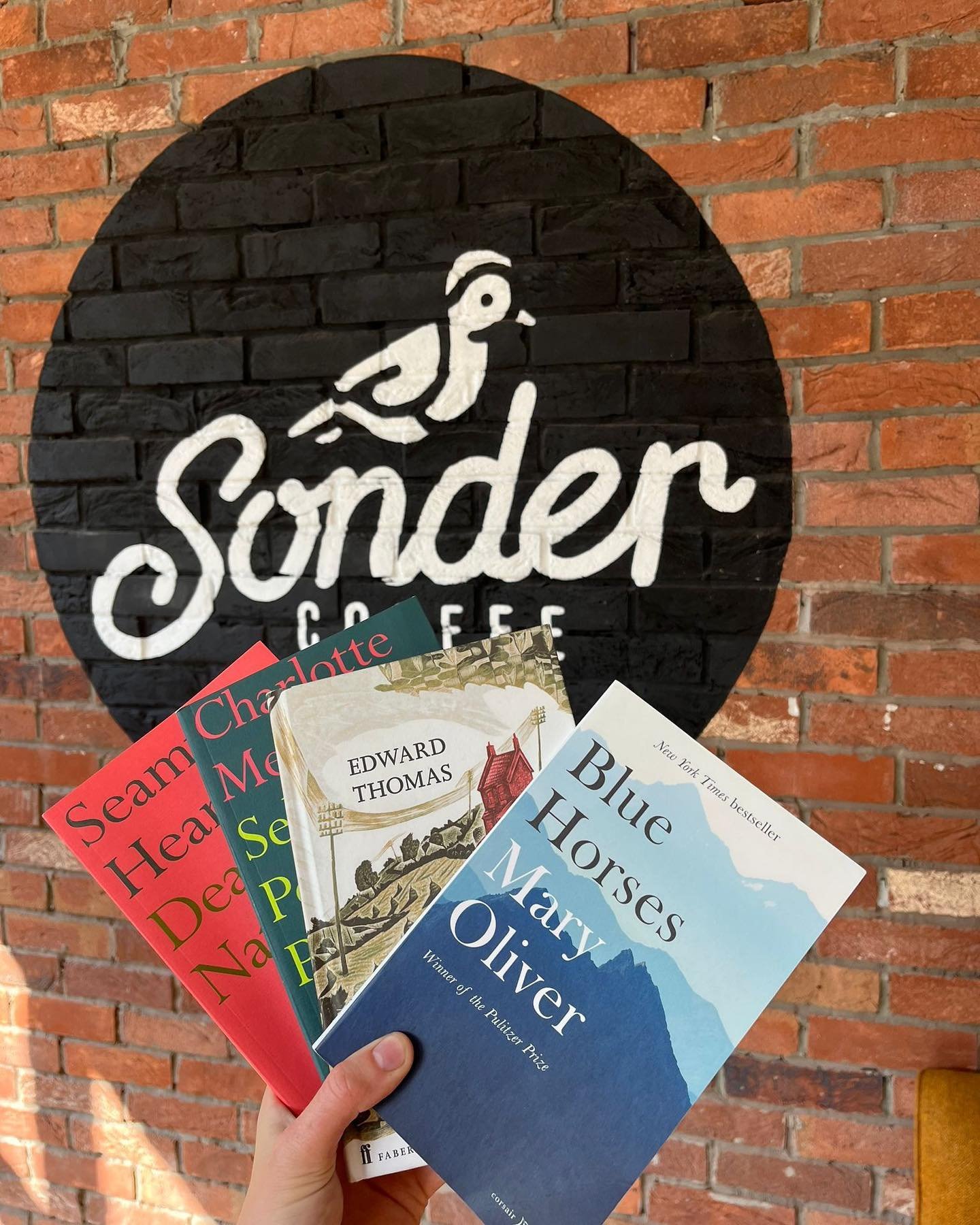 📚✍️ATTENTION POETRY LOVERS! ✍️📚
Sonder Coffee is holding a poetry night from 7:30pm on Friday, September 15th!! 

Curated by local writers Barney Norris and Millie Woodrow. So come along and support us as we add something new to Salisbury&rsquo;s c