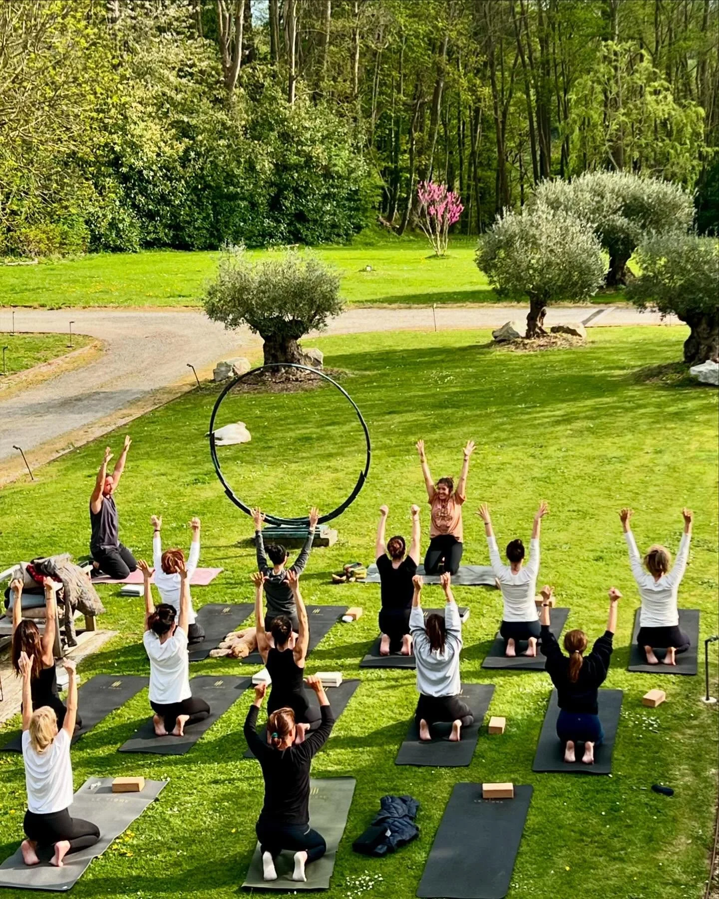 Moment magique, Yoga sous le soleil normand ☀️🌳
#yoganormandie #yogaforall #yogalife 
@marinetrevillot 💛