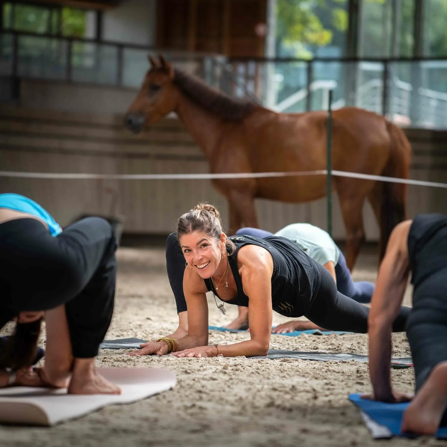 ⛱️ Vacances normandes ? Je vous attends cette semaine pour partager quelques pratiques de yoga 🧘‍♀️
A Beaumont en Auge chez @maison.mouche 
- mercredi 9h 
- jeudi 18h45
- samedi 18h
Et lundi 21 avril 11h au @poleinternationalducheval 🐎 
In