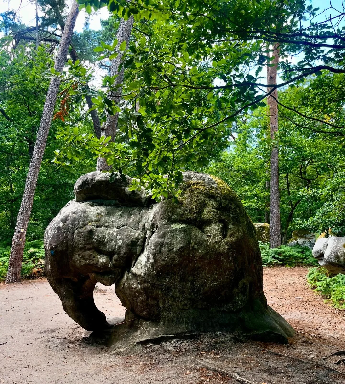 La Folie de @lafoliebarbizon en images : de l’art, de l’humour, du goût, de la forêt, des éléphants, du beau, de la sculpture, des matières et des couleurs, du végétal du bois et du min&eacut
