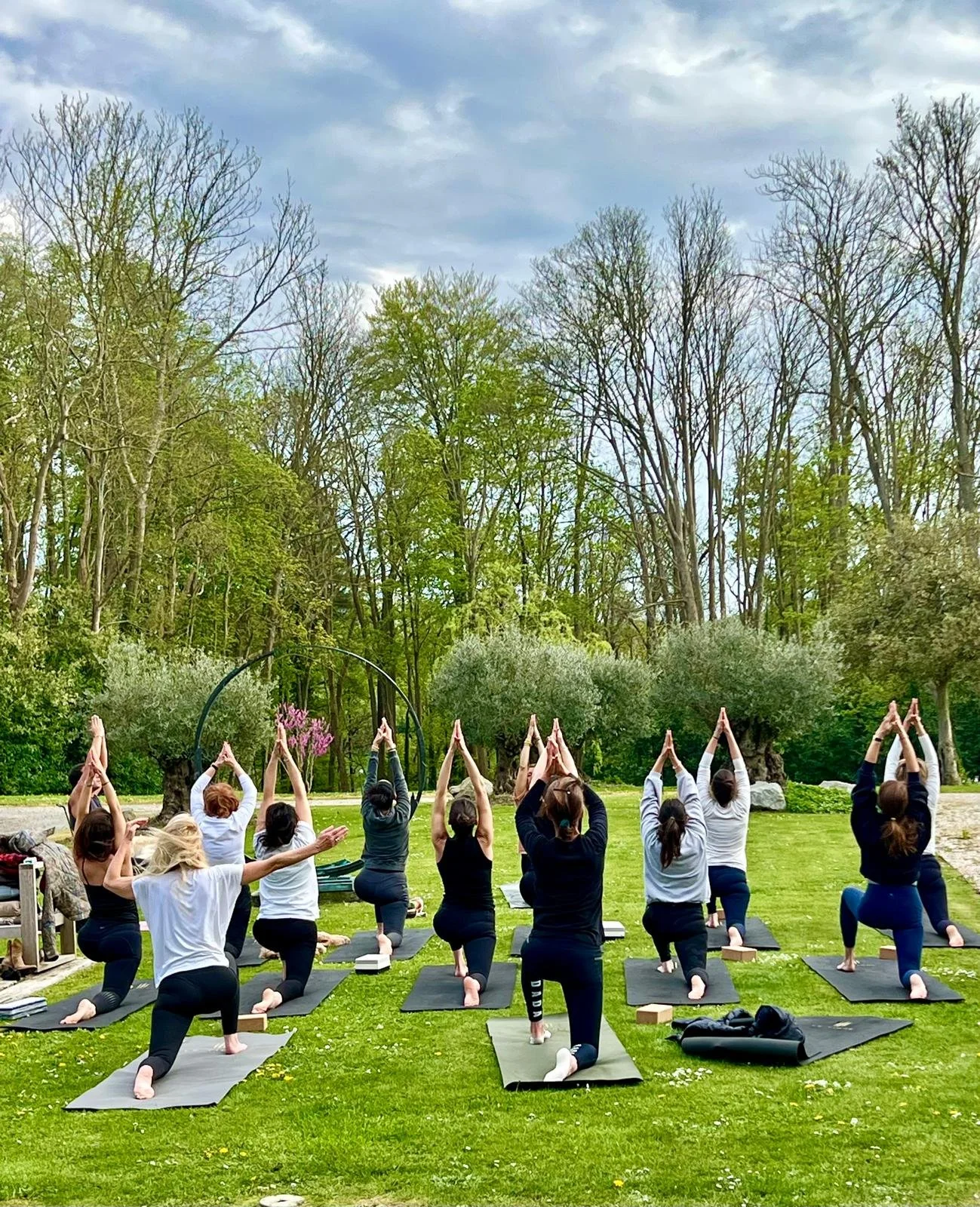 Groupe de personnes pratiquant le yoga en extérieur dans un parc avec des arbres et un ciel nuageux.