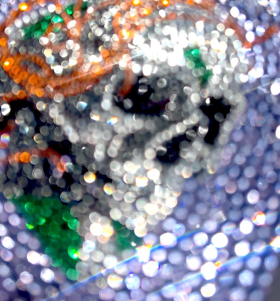 Close up of Exclusive Rhinestone-Covered Book – Limited Edition by Andra