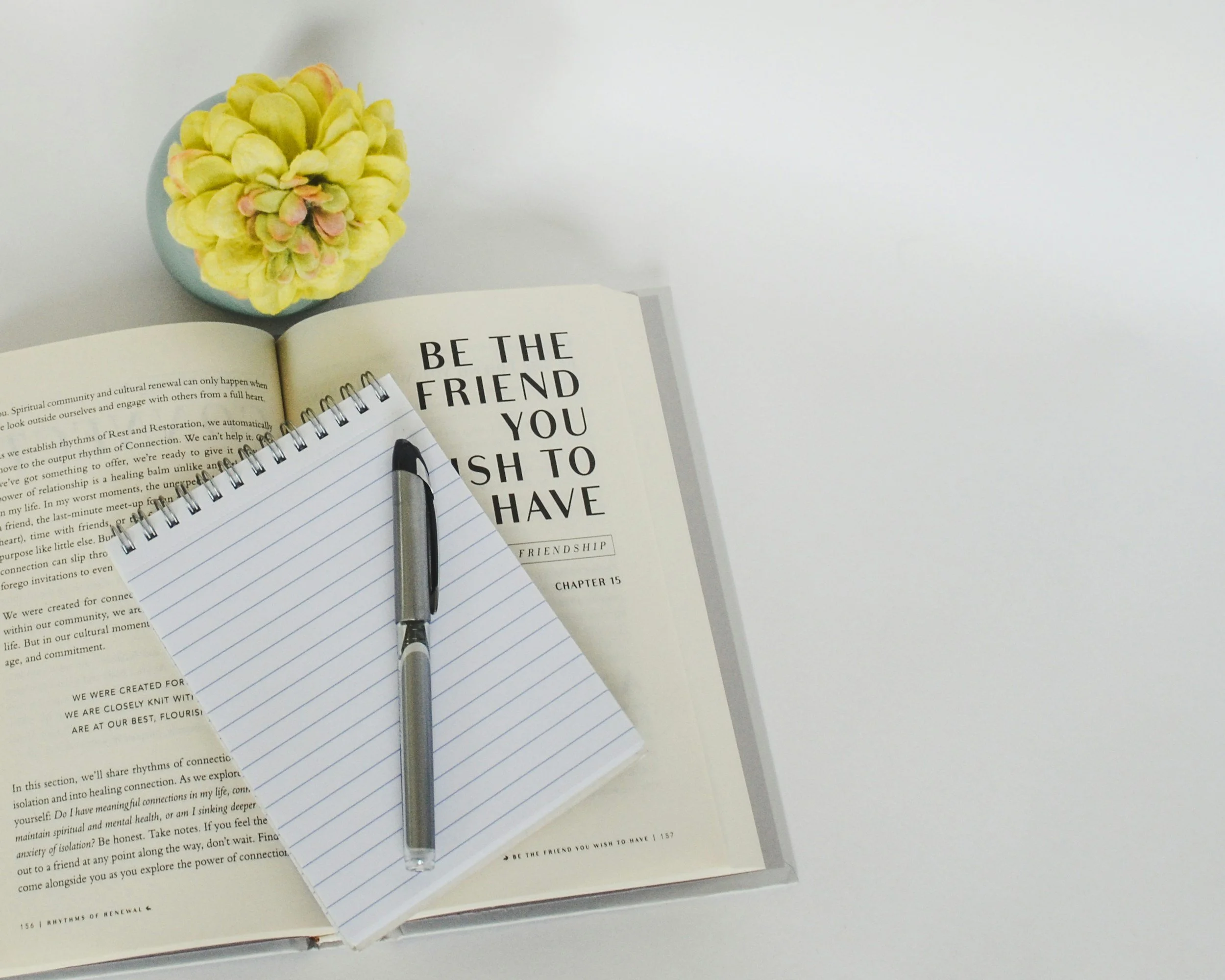 Open book with the page titled "Be the friend you wish to have", a lined notepad with a pen, and a yellow-green succulent in a small pot, all on a white surface.