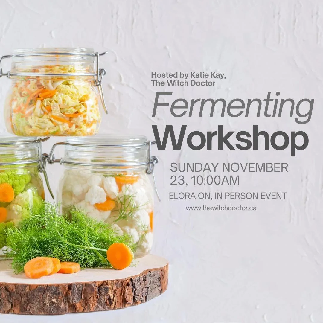 Fermenting Workshop