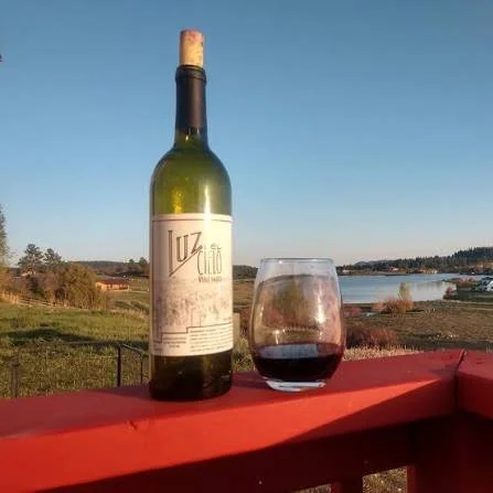 A bottle of red wine and a glass of wine on a red railing with a scenic outdoor landscape in the background, including a body of water and blue sky.