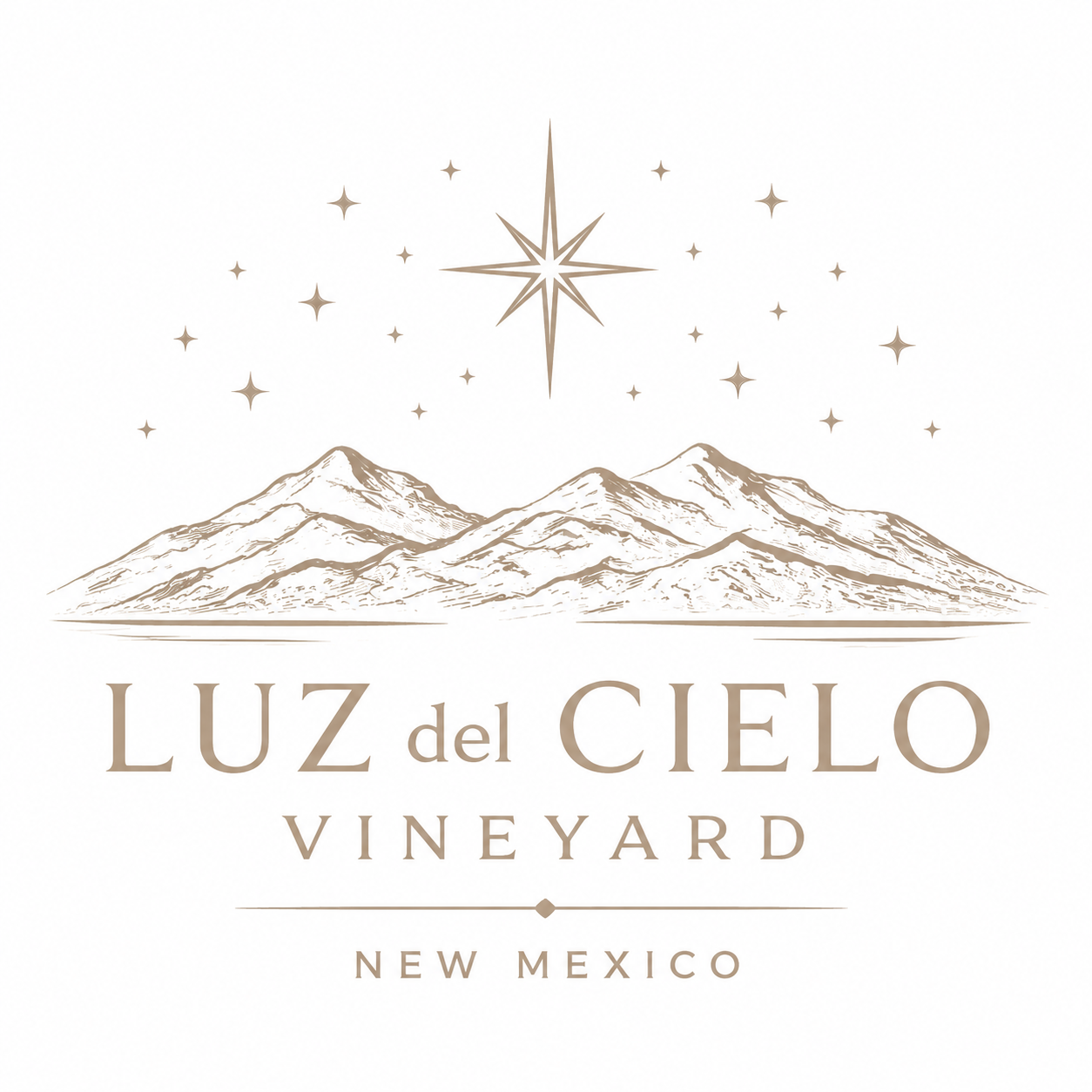 Luz Del Cielo