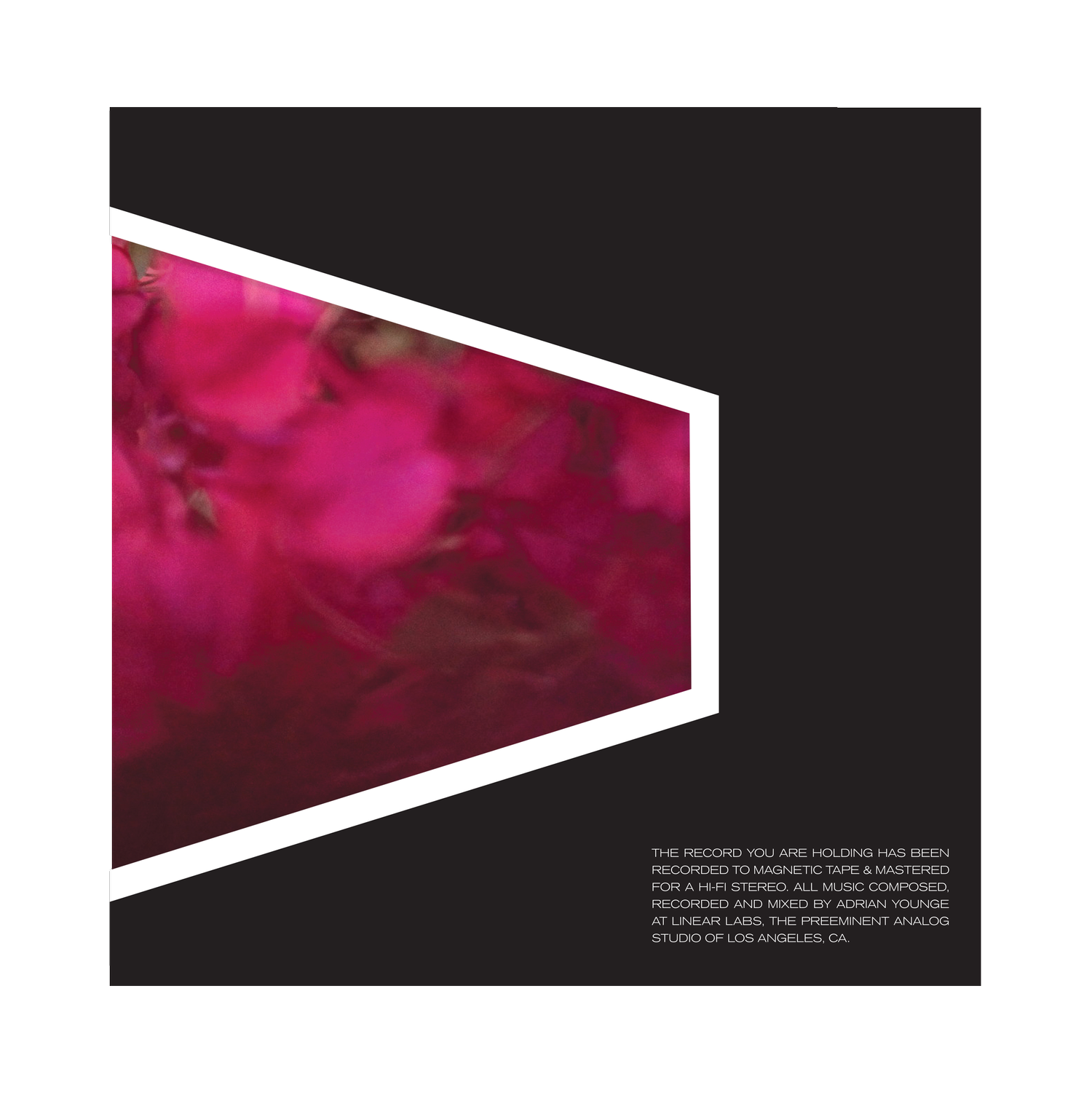 4+LL+003+Mock+Back+Die+cut.png