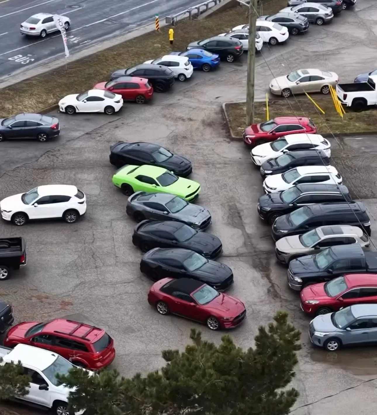 How Makacek Media Helps Car Match Canada Stand Out as a Trusted Cambridge and Toronto Car Dealership