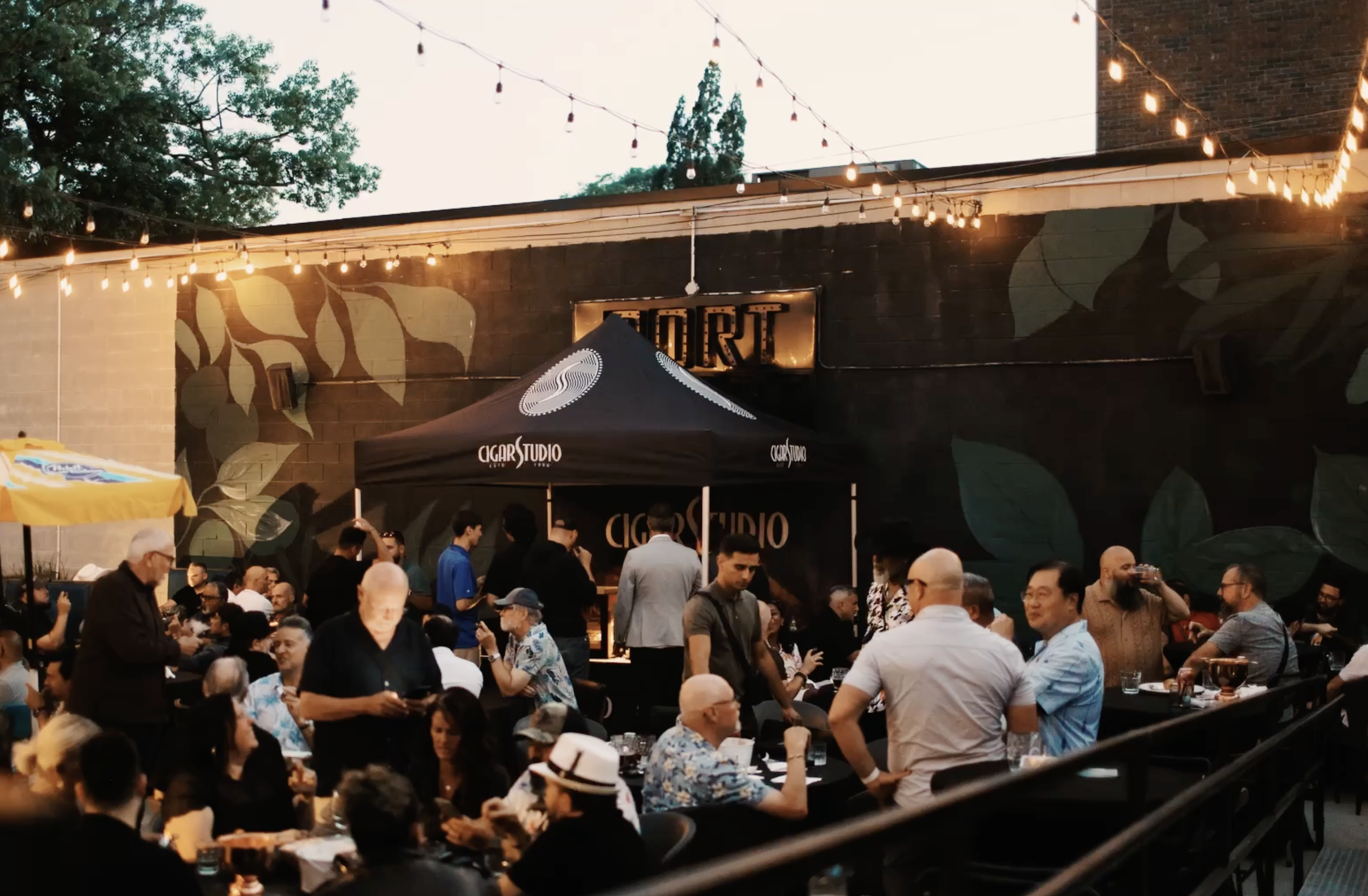 Inside Toronto Premier Cigar Gathering: The Cigar Studio Unforgettable Sip and Smoke Night