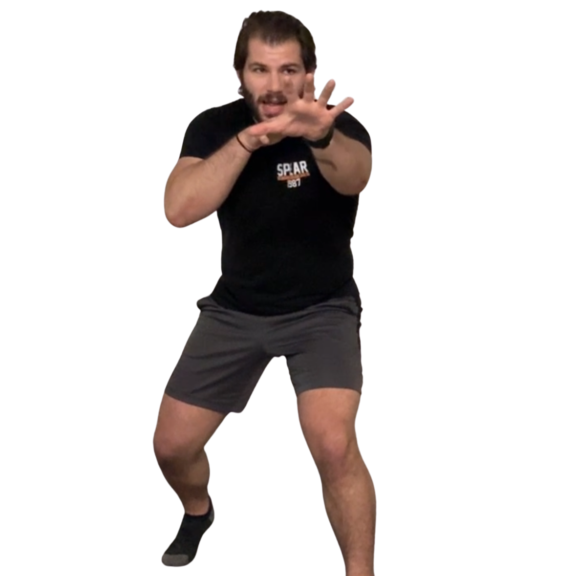 Seth+SPEAR+Stance.png