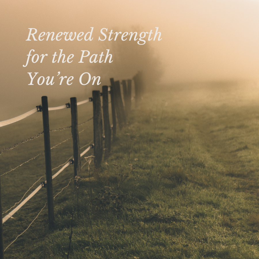 Renewed Strength for the Path You’re On