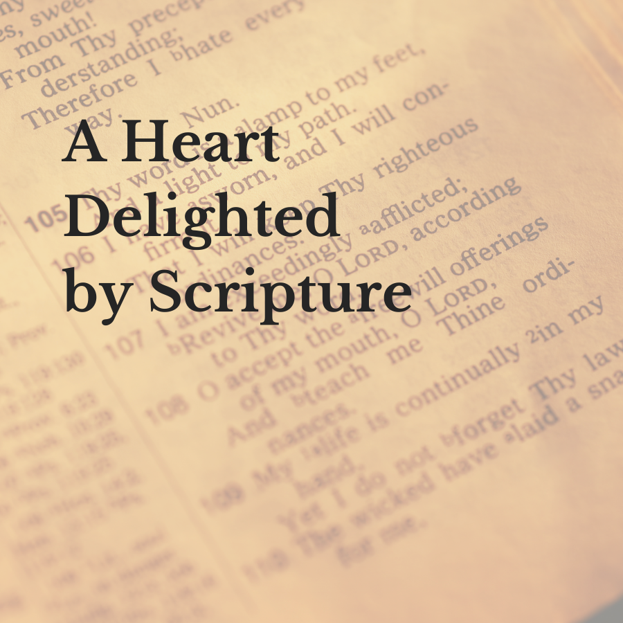 A Heart Delighted by Scripture