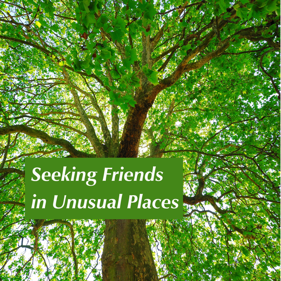 Seeking Friends in Unusual Places