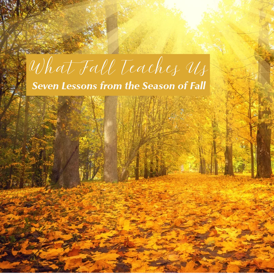 What Fall Teaches Us