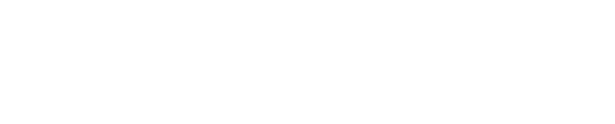 MassimoDutti.png