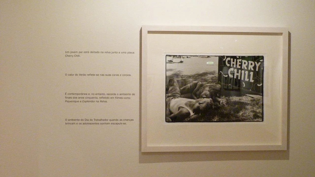 P1190260.jpg