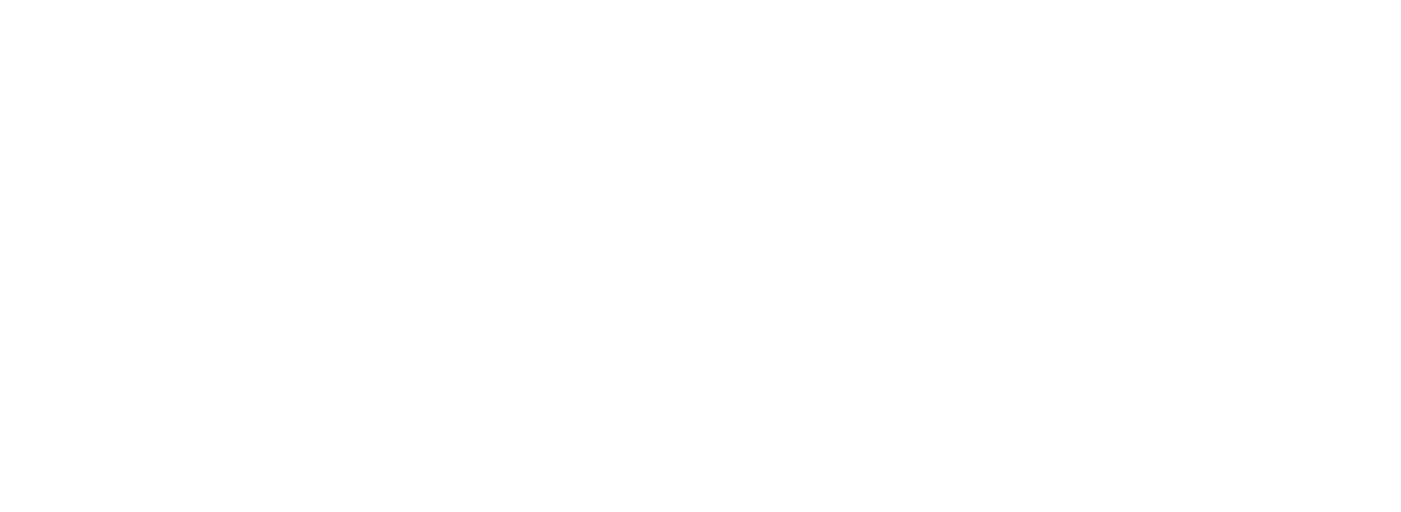 MetroPorto.png