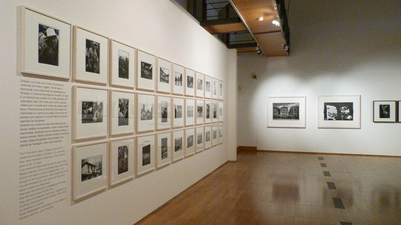 P1190241.jpg