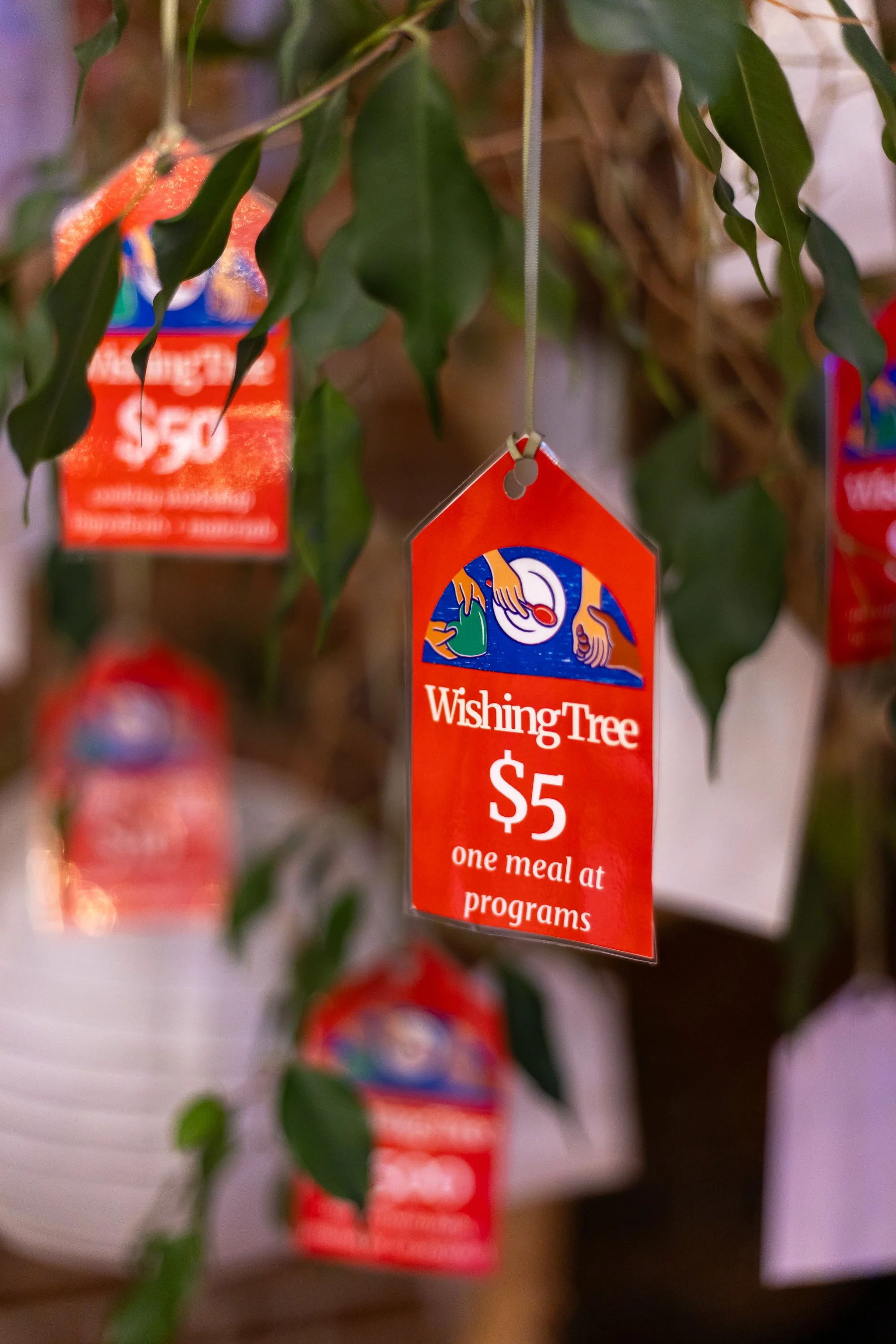web-2250.jpg