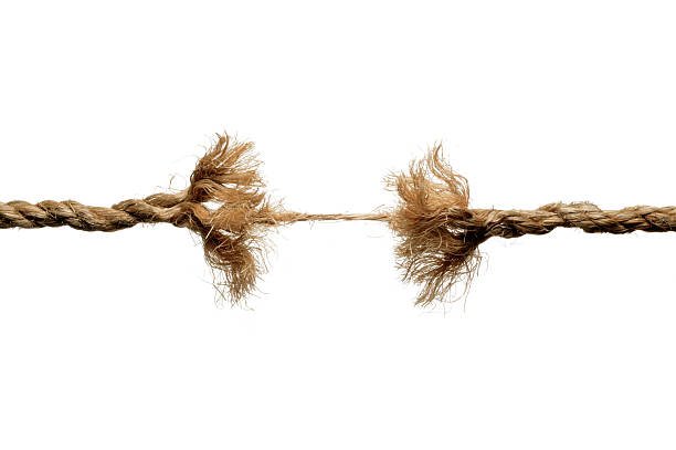 Life’s Primary Tension