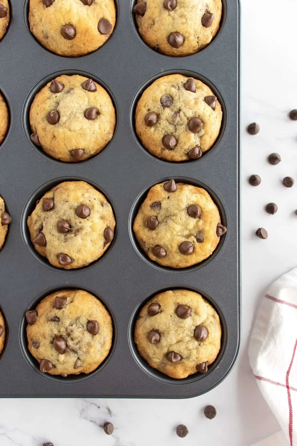 Fiber Chocolate Chip Muffins