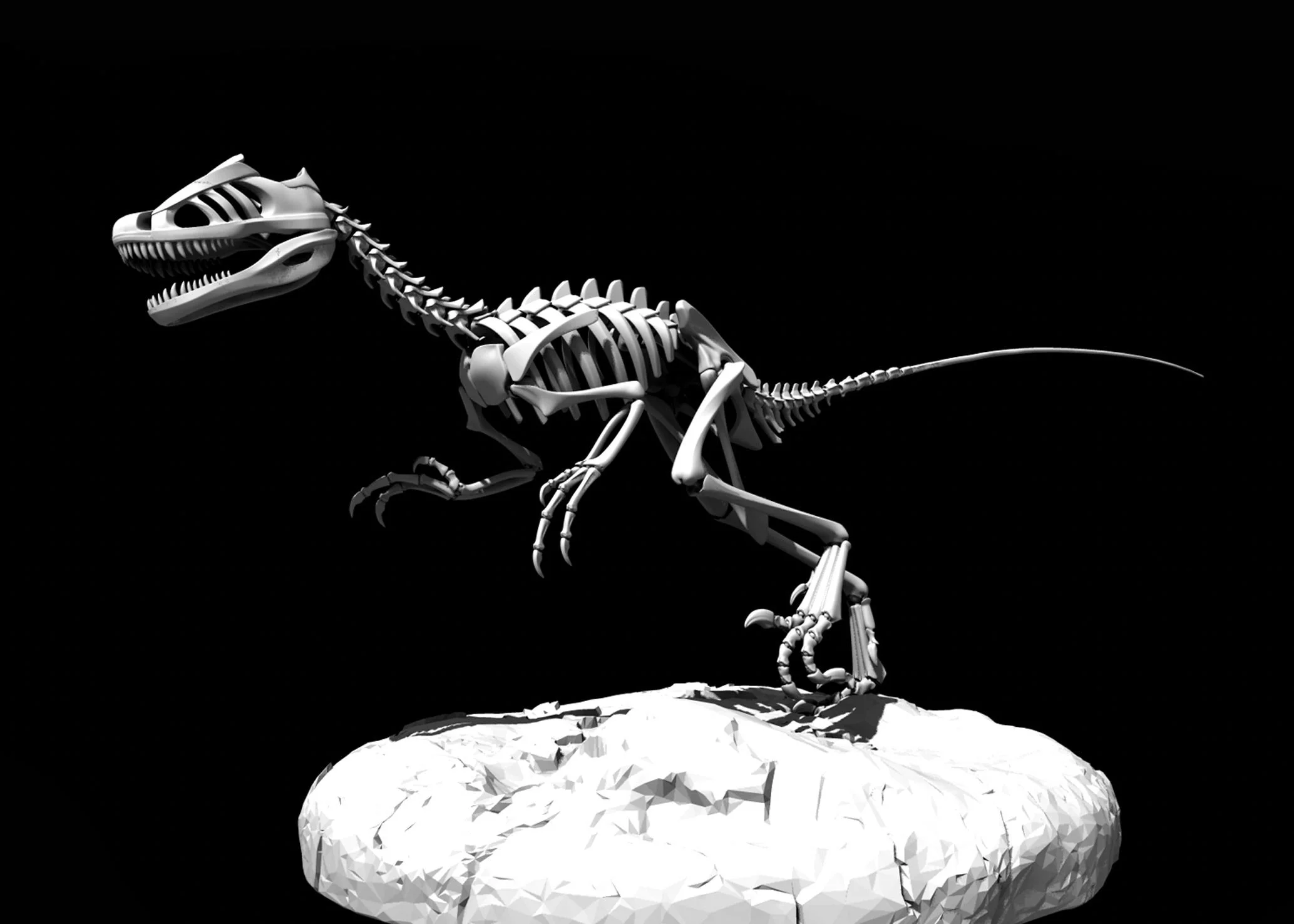 JJB_Adids_Trainersaurus-6.jpg