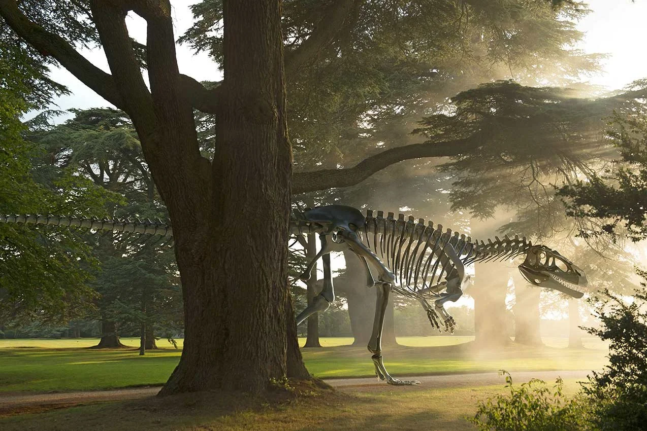 Full-scale Megalosaurus sculpture by Jay Jay Burridge, displayed at Blenheim Palace as part of the Dinosaurs Are Forever exhibition.