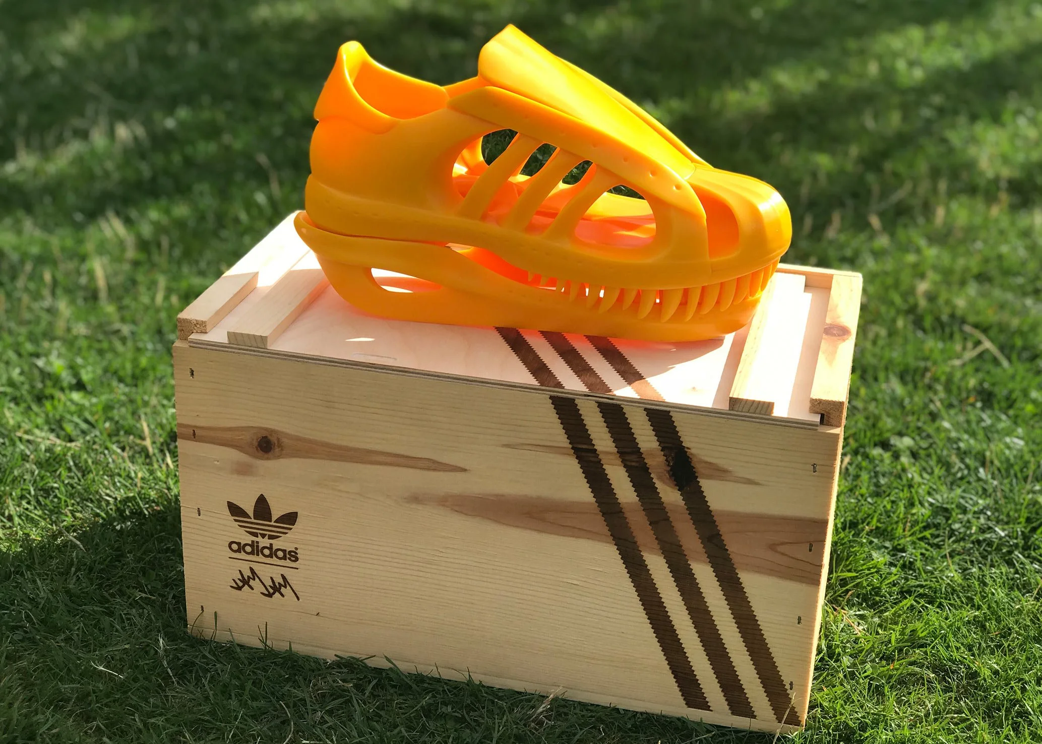 JJB_Adids_Trainersaurus-4.jpg