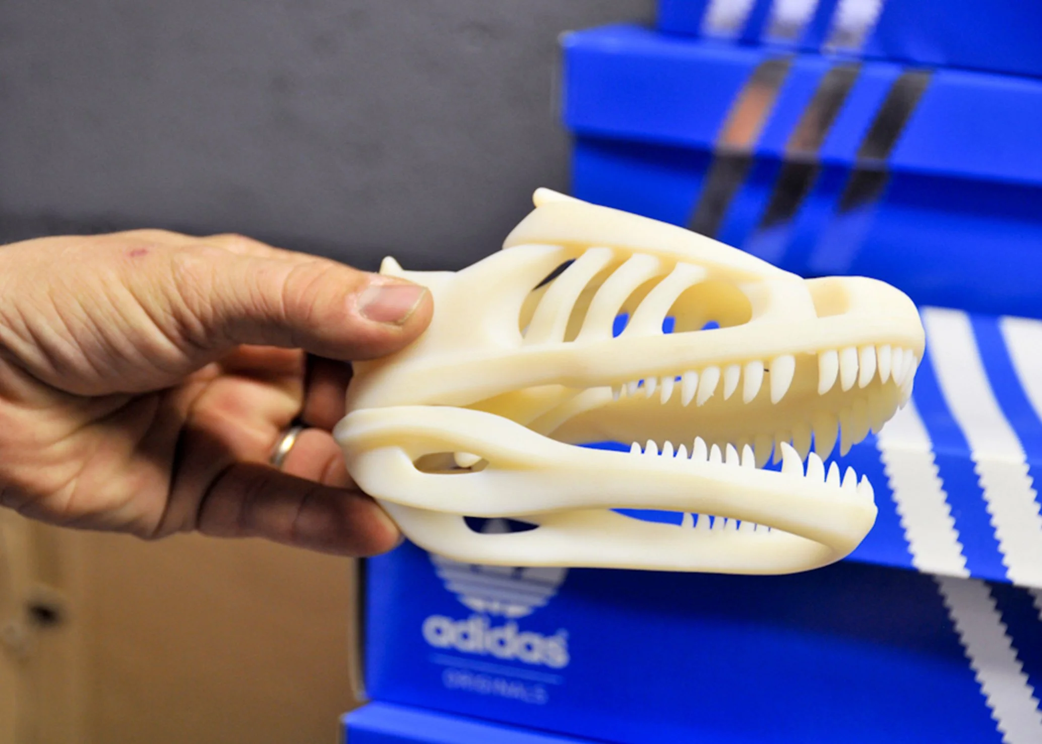 JJB_Adids_Trainersaurus-1.jpg