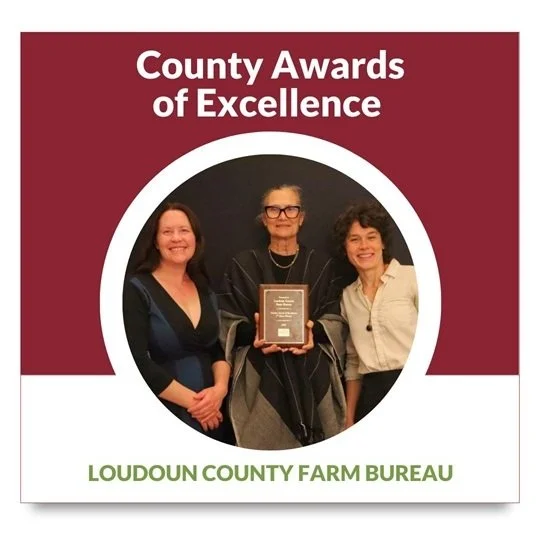 2025 County Awards of Excellence Winner