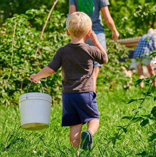 Loudoun Spring Farm Tours