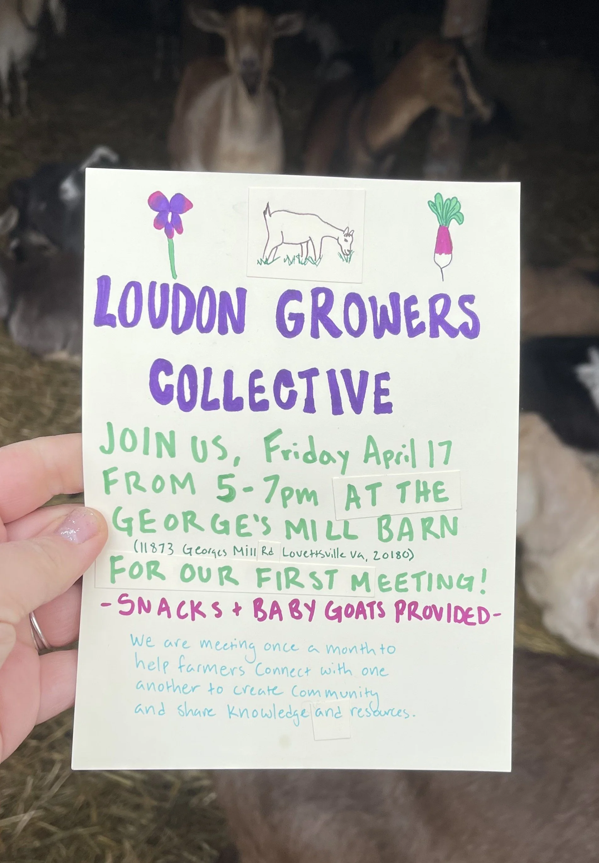 First Meeting of the Loudoun Growers Collective