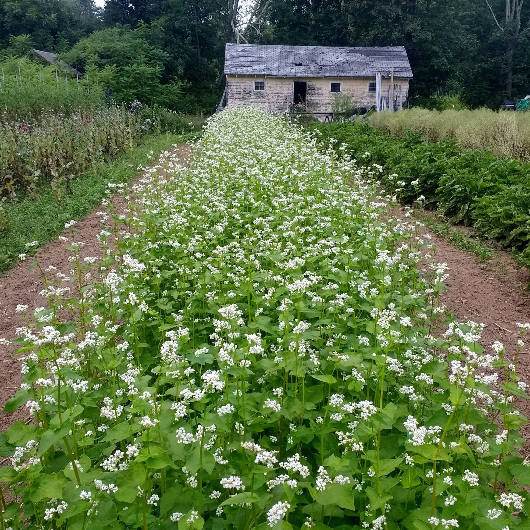 Loudoun Growers Collective Monthly Meeting
