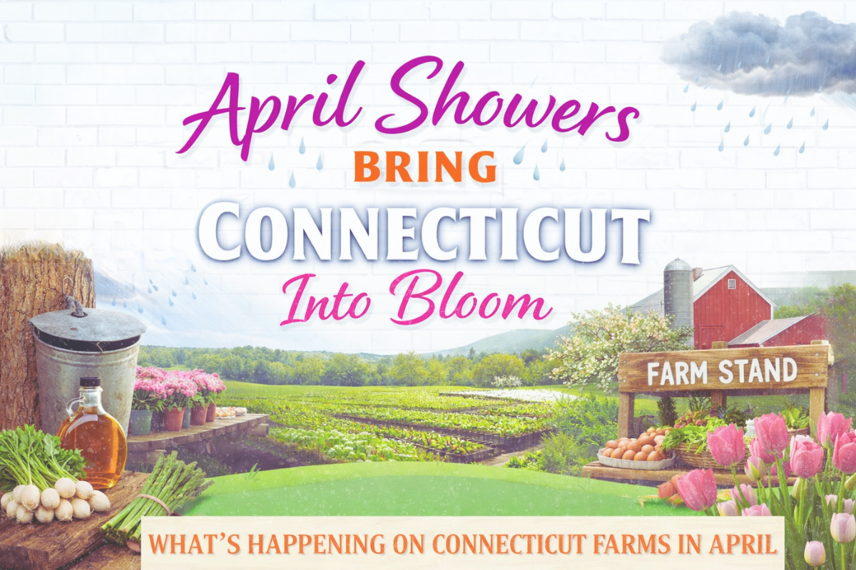 April Showers Bring Connecticut Into Bloom